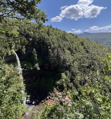 Waterfall cascading through forested canyon with mountain vista