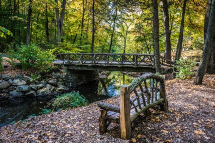 Wooden bridge spanning a stream through a forest with autumn leaves