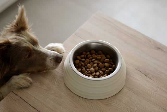 Pet Food and Supplies