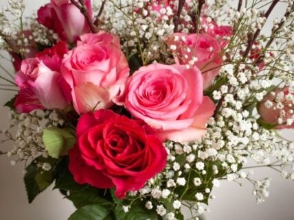 Best Valentine's Day Flowers at Costco Unsplash