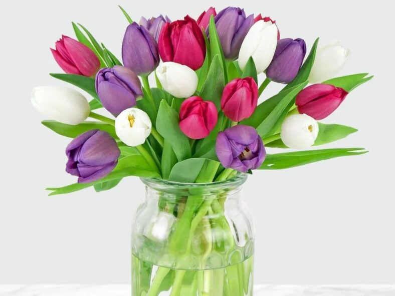 Tulip Flowers Costco