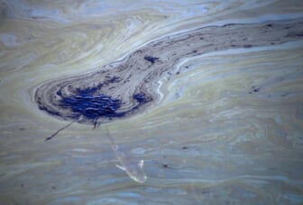 'Catastrophic' California oil spill kills fish, damages wetlands 9